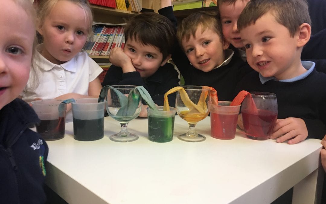 Junior and Senior Infants Science