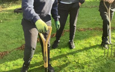 Pocket Forest at Our School