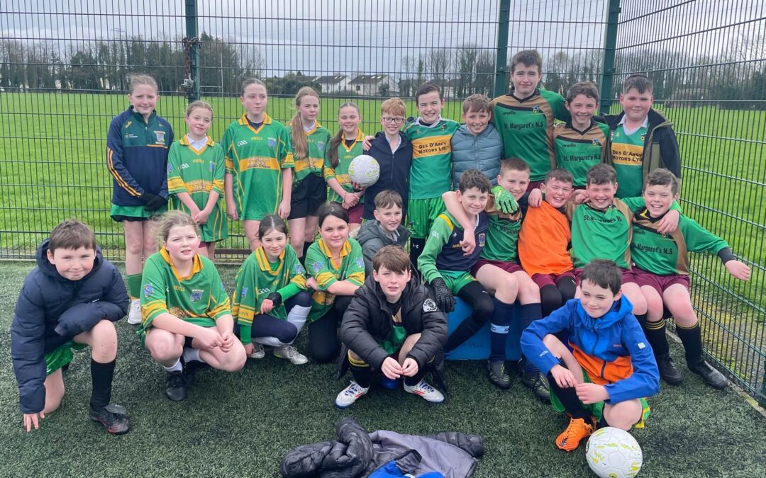 FAI Schools Primary 5s Soccer Tournament