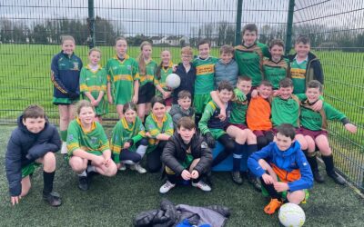 FAI Schools Primary 5s Soccer Tournament