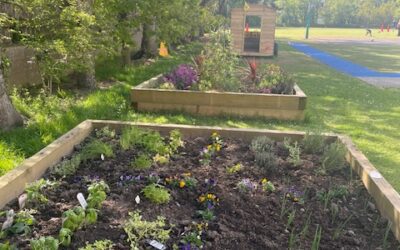 Our Pizza Themed Raised Bed!