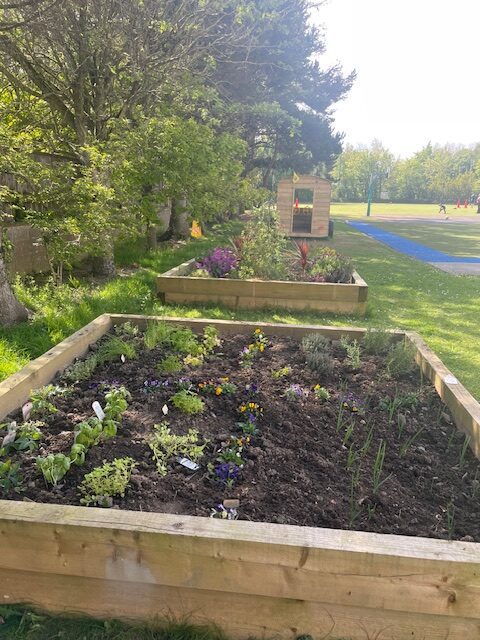Our Pizza Themed Raised Bed!